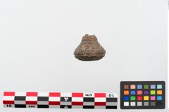 Foto von Glasperle (NHMW-PRAE-024164)